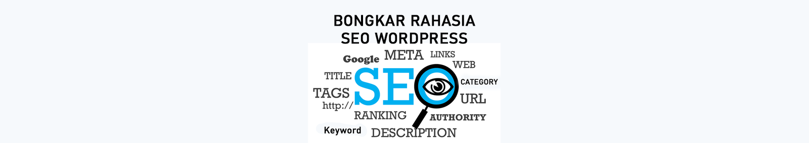 Bongkar rahasia seo website wordpress